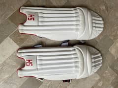 Hard Ball Cricket kit FULL