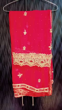 Very Beautiful & Unique Bridal Lehenga