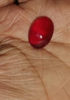 Original Coral Stone for Sale – Deep Red – Ideal for Ring