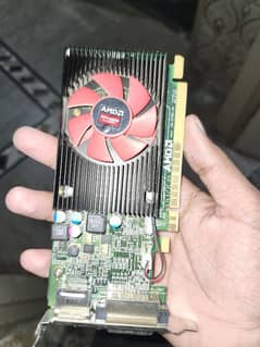 Amd