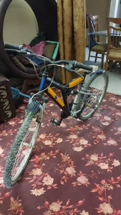 Bicycle with Helmet