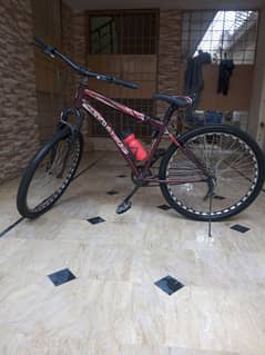 Sportive Cycle for Sale