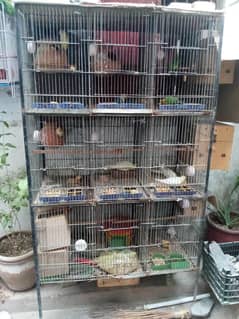 cage