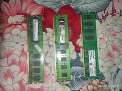 Ram