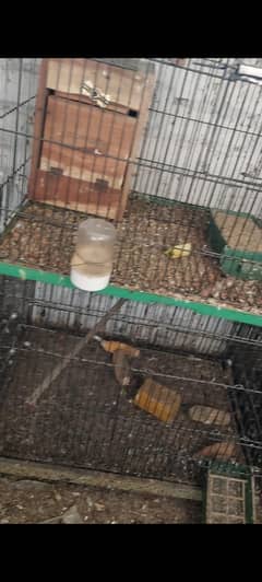folding Cage 2/1.5   and  1.5/1.5