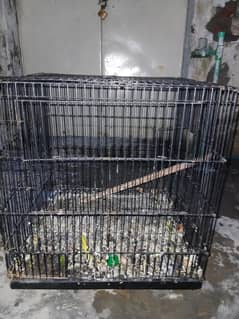 iron cage for small birds like (love birds or budgie )
