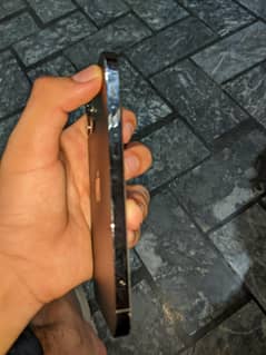 iPhone 12 Pro