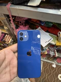 iPhone 12