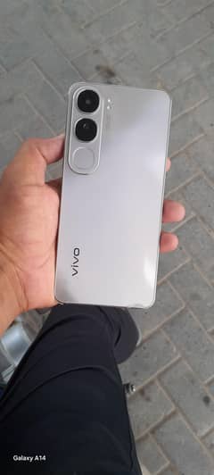 vino y200