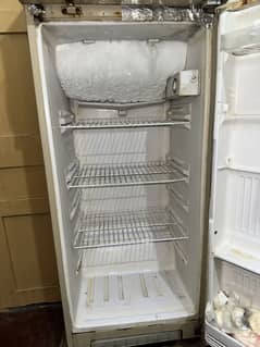 Singer freezer size medium