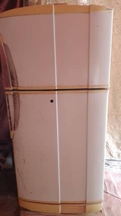 frige