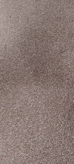 carpet
