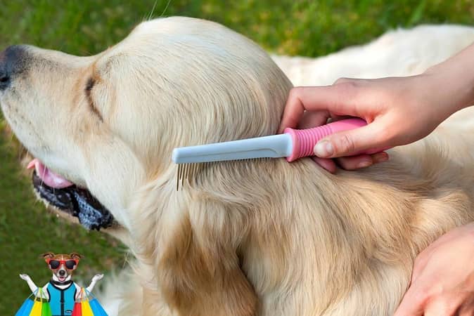 247 Pet comb for Dogs Stainless Steel Trimmer Dog Cat Pin Comb Hair Brush Hairbrush Flea Comb Dogs Cats Pets Accessories Pet Grooming