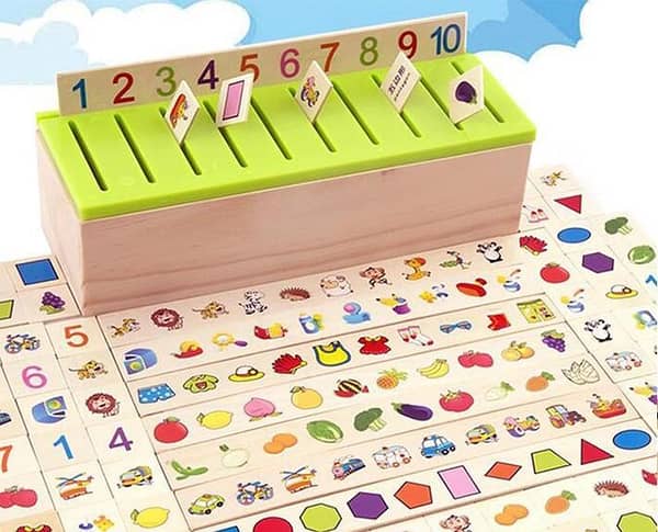 Wooden Knowledge Classification Box/Learning Toys For Kids /Montessori Toys - Kids Toys