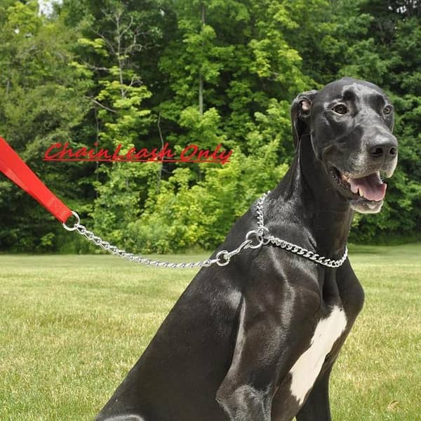 NC635 Pet Nylon Handle with Chain 6 ft x 3.5 mm Extra Fine Chain Dog Lead with Nylon Handle Chain Leash with Nylon Handle Heavy Duty Metal Chain Leads