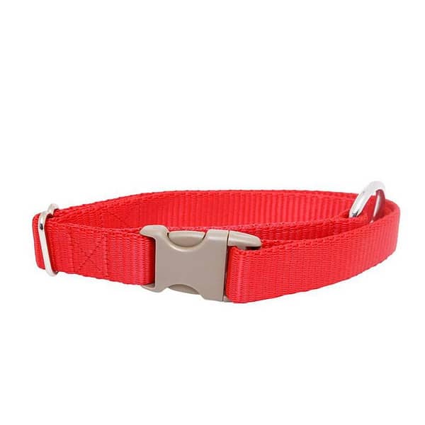 402 Pet Coller 1'' x 32''
