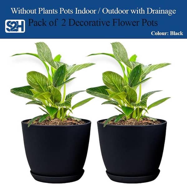 Extra Large Indoor Plant Pots with Drainage for Home Decor