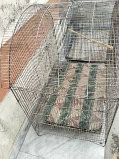 cage for birds