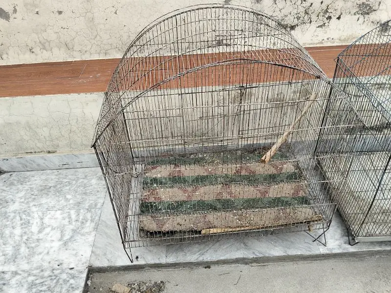 2 cages for birds 30by 30 size — photo 3