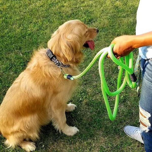 3526 Pet Rope leash Neon Rope leash  13m x 120cm