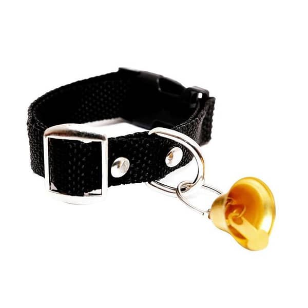 2612 Pet Leash collar with bell