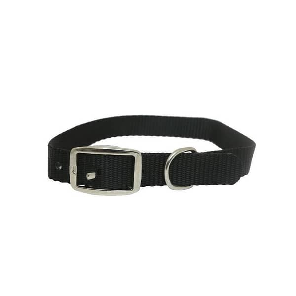 387 Pet Single layer collar for cat and dog 20m x 20''