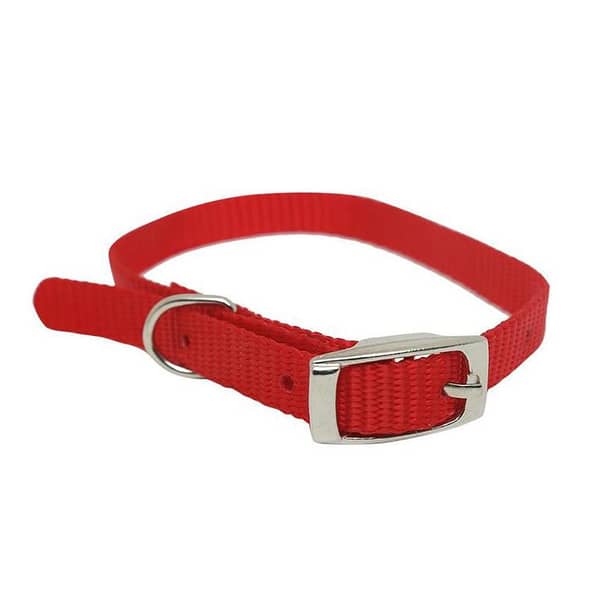 385 Pet Single layer collar for cat and dog 15m x 16''