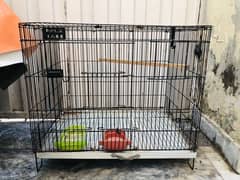 Bird cage > Read add