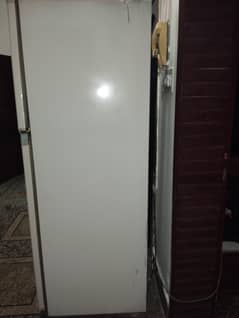 frigh for sale