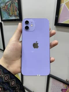 Iphone 12 Purple Color