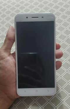 Vivo Y66 (Read Ad)