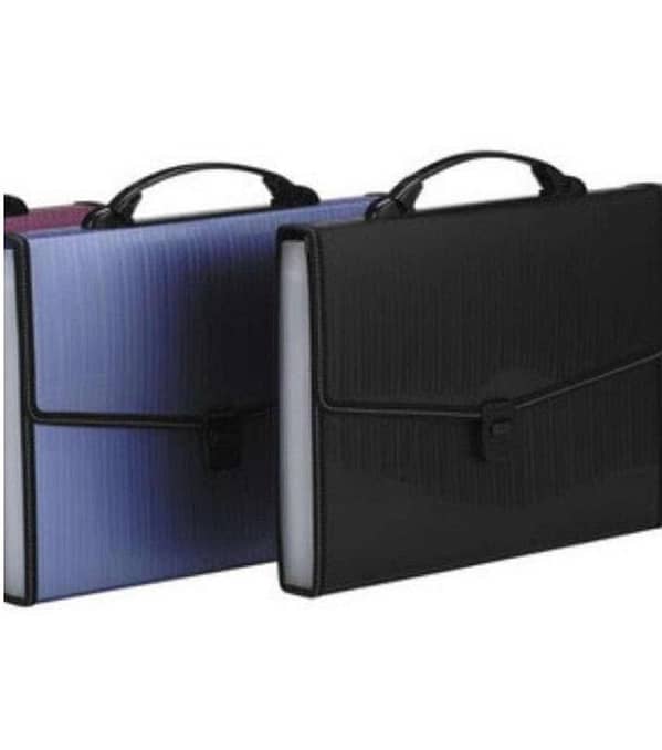 Expanding Bag - F/C Size - 12 Pockets Black or Blue