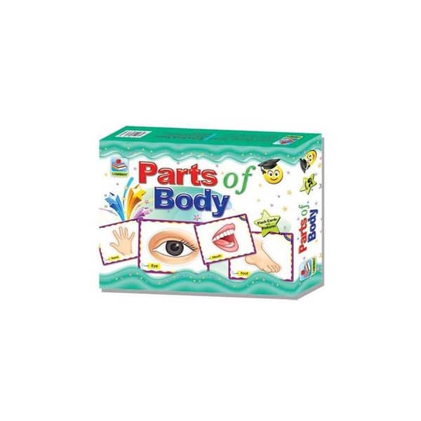 Parts of Body Flash Cards (2411) - Educational Cards for Kids