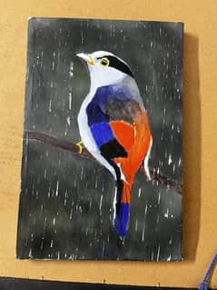 Bird in Rain