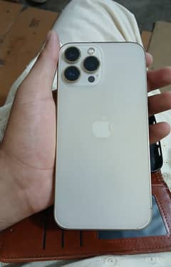 13 pro max  pta