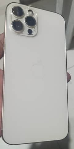 12 Pro Max