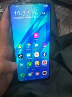 vivo