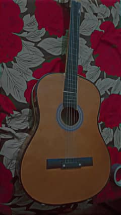 Delivery Available Urgent Sale Guitar  On Sale Now Available
