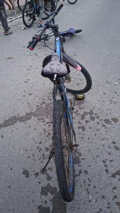 Japanese cycle