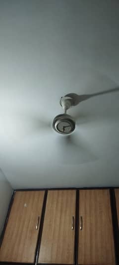 Lahore fan