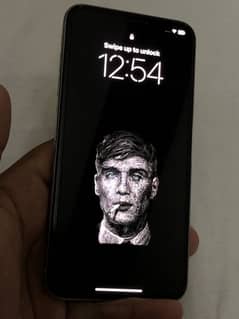 XS MAX  (512 GB)