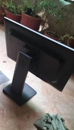 HP pro display p221