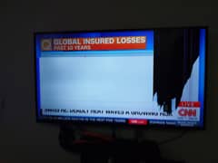 TCL Screen Damaged 55 inch Tv
