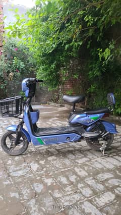 Electric scooty