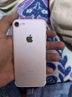 iPhone 7 pta