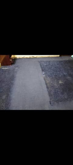 carpet