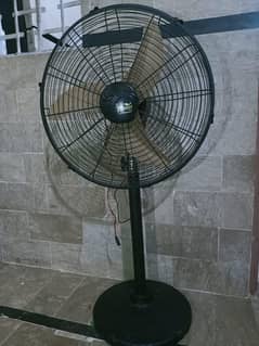 Taimoor 12 DC Pedestal Fan