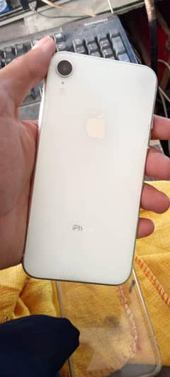iPhone XR