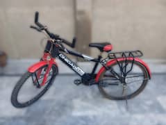 CHICAGO Cycle