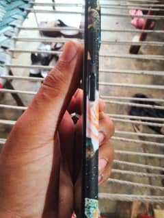all okay good condition box available hai
